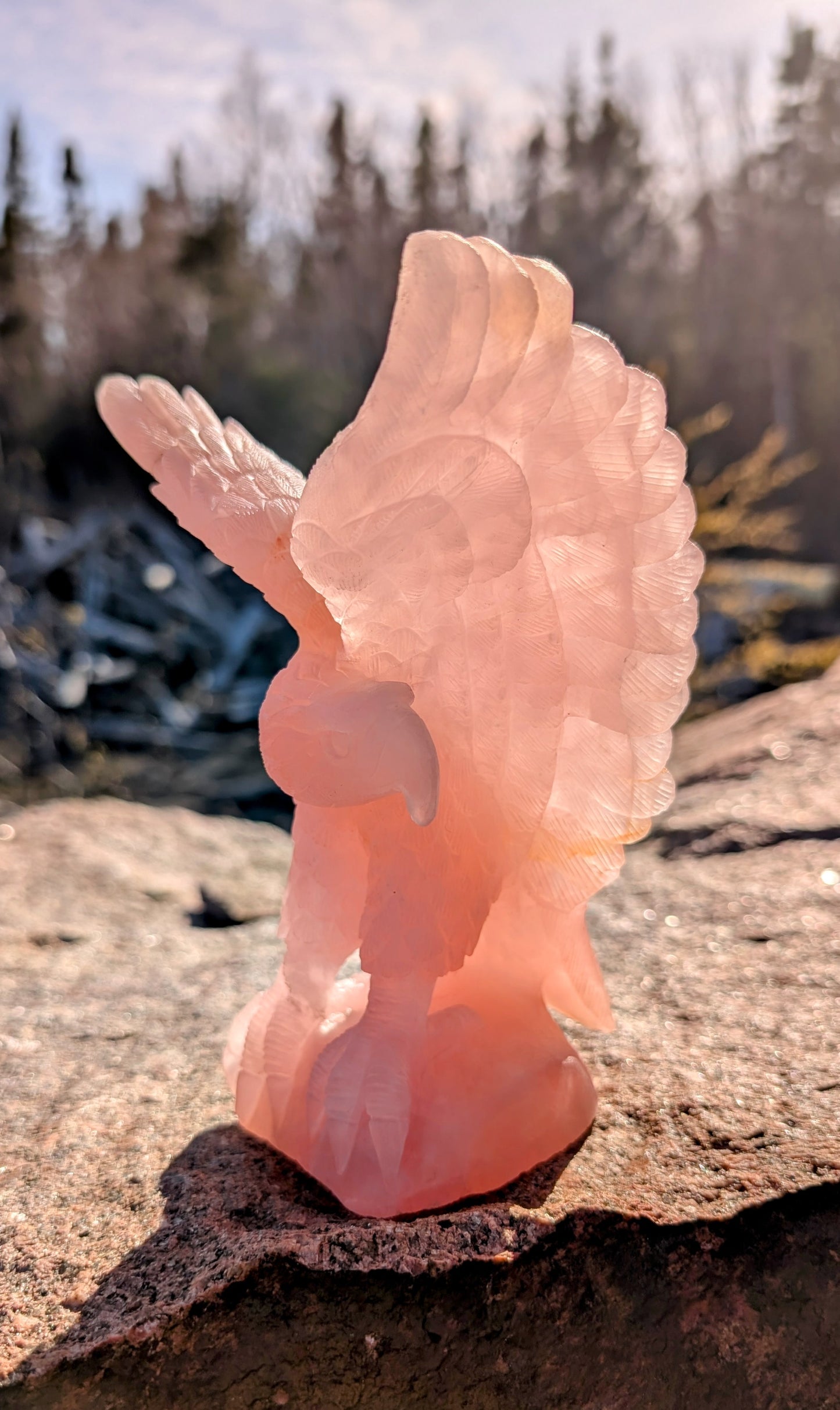 Rose Quartz Eagle