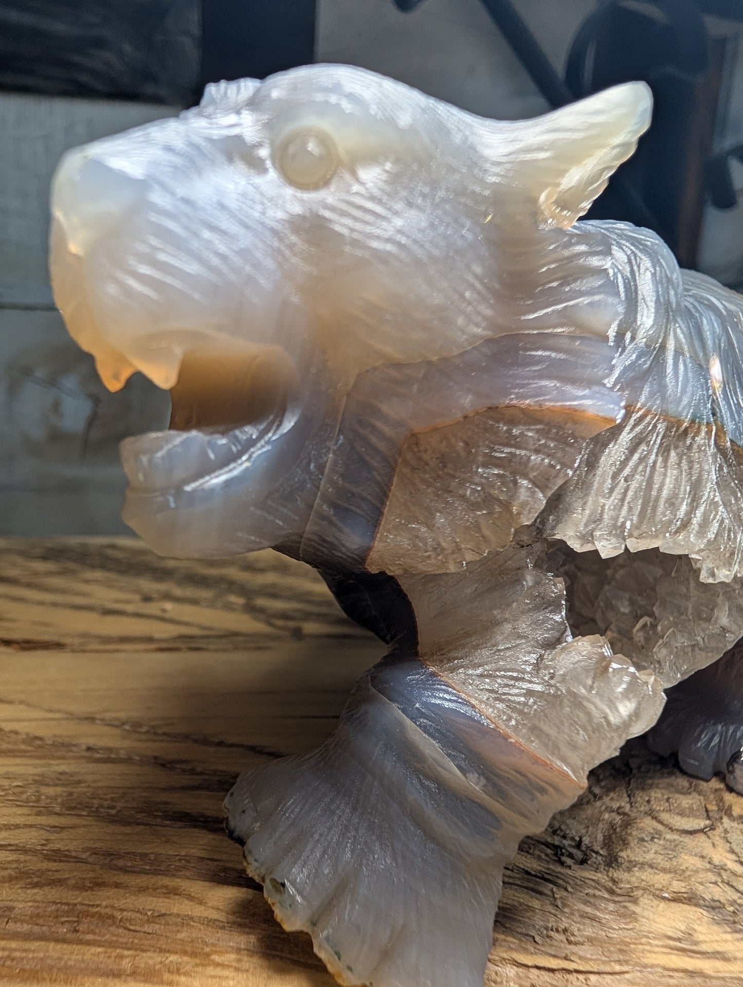 Druzy Agate Bear