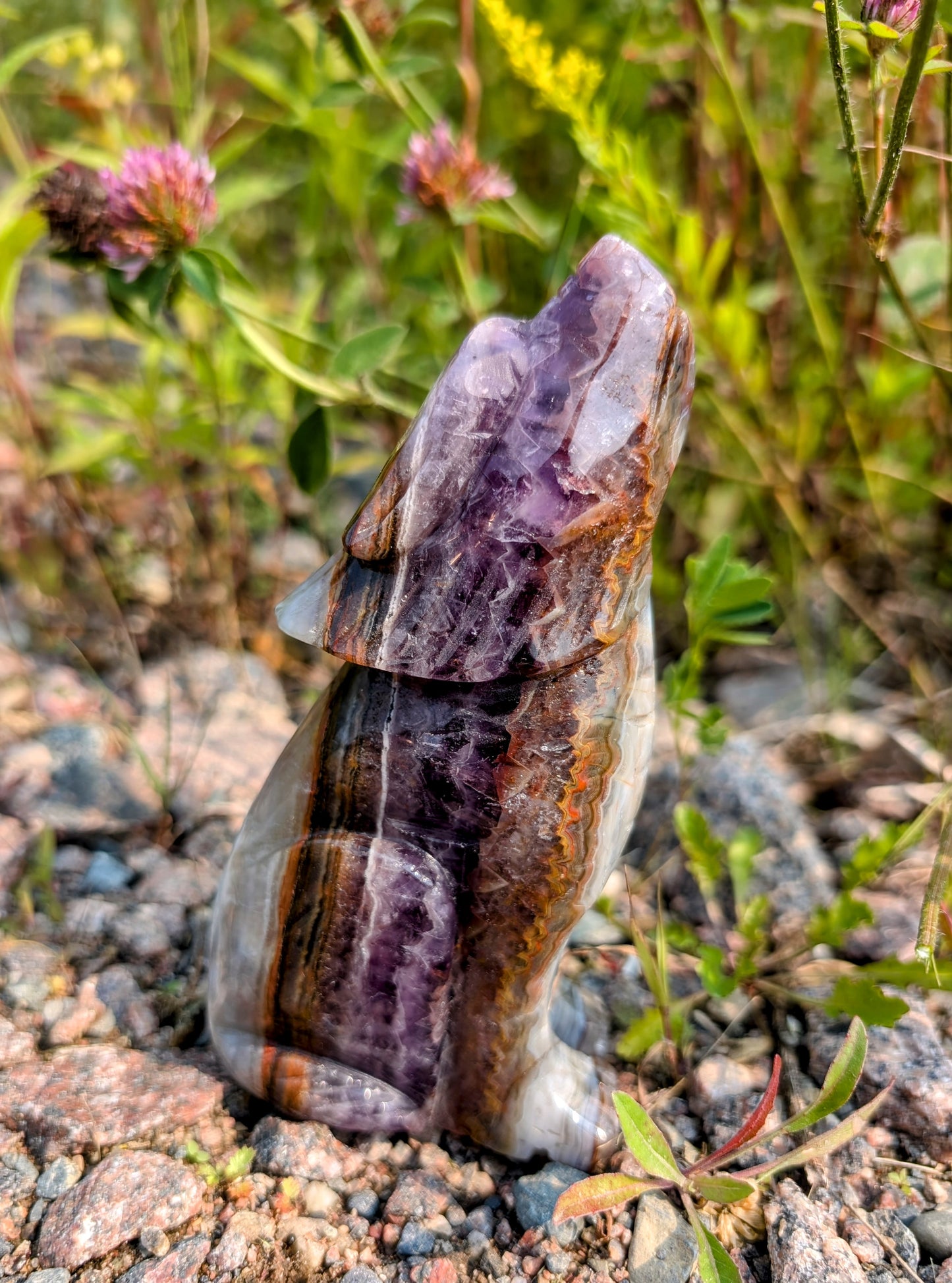 Mexican Lace Agate Amethyst Wolf