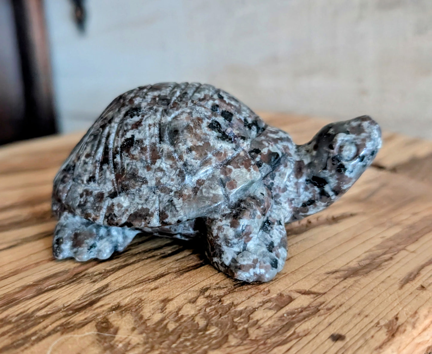 Yooperlite, Flame Stone Turtle