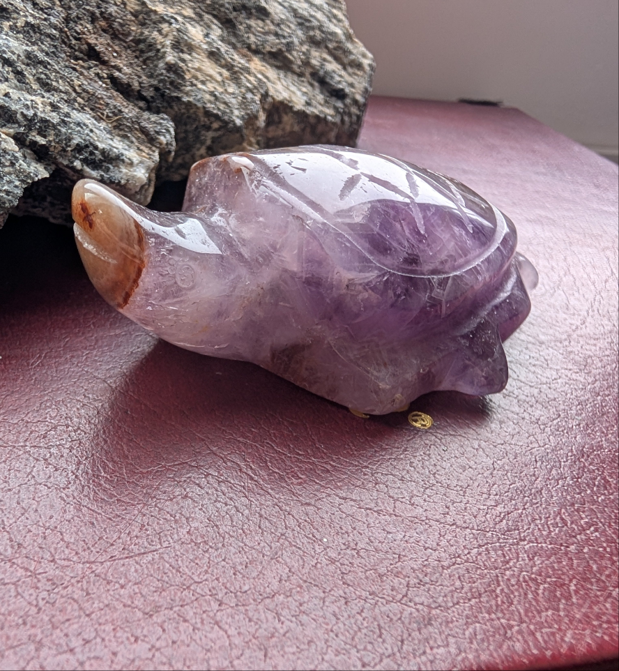 Dream Amethyst Turtle