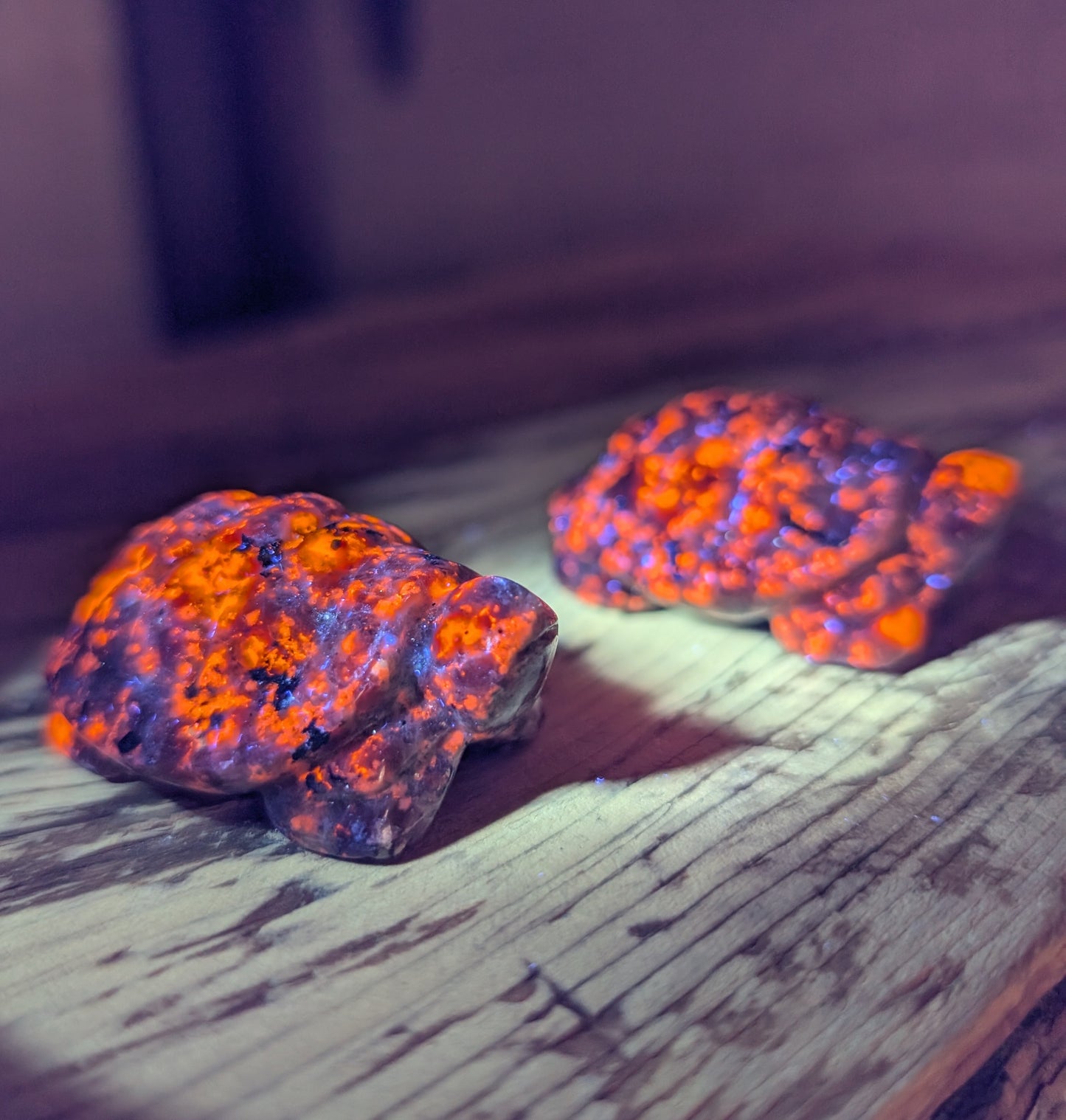 Yooperlite, Canadian Flame Stone Turtles