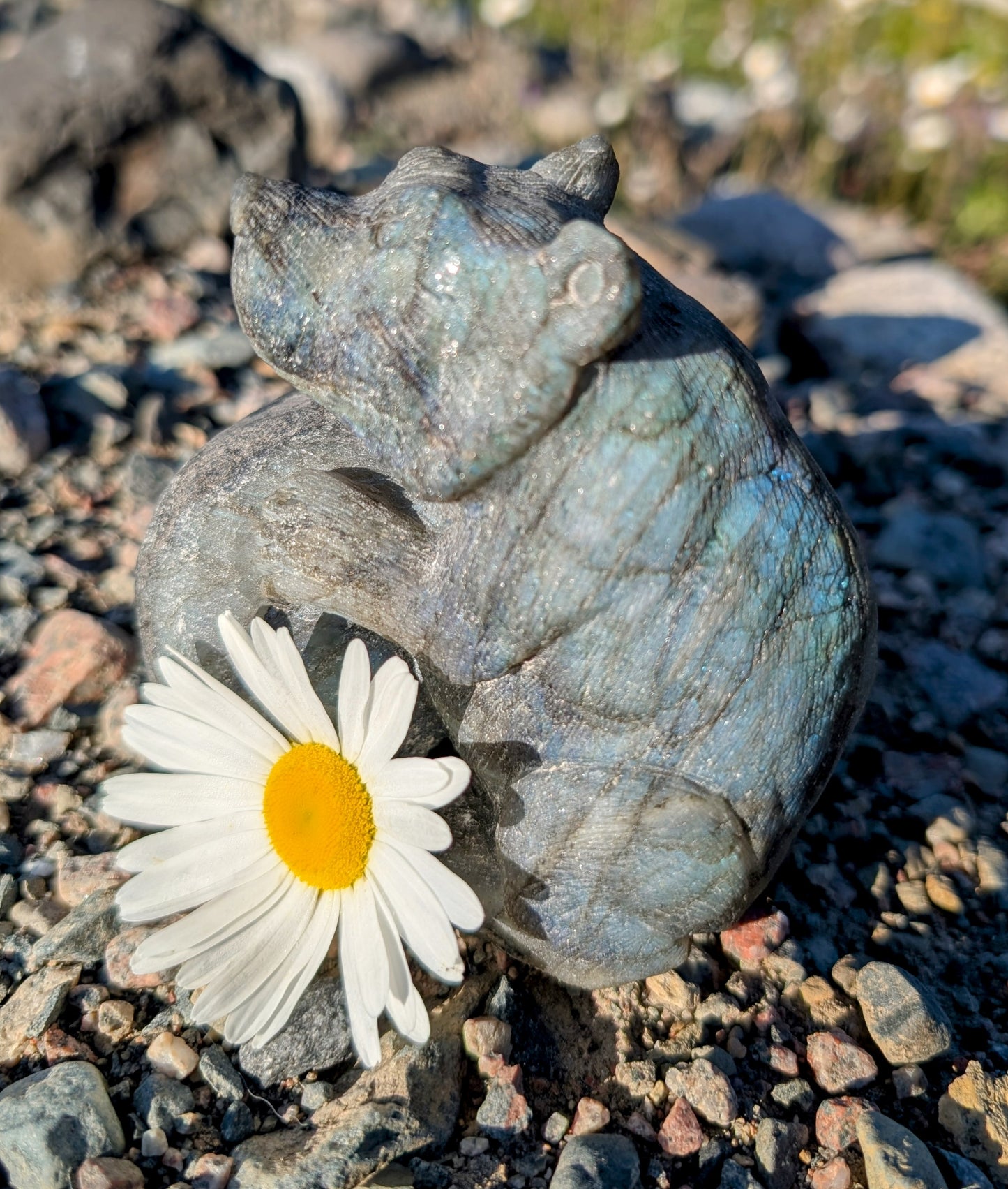 Labradorite Bear