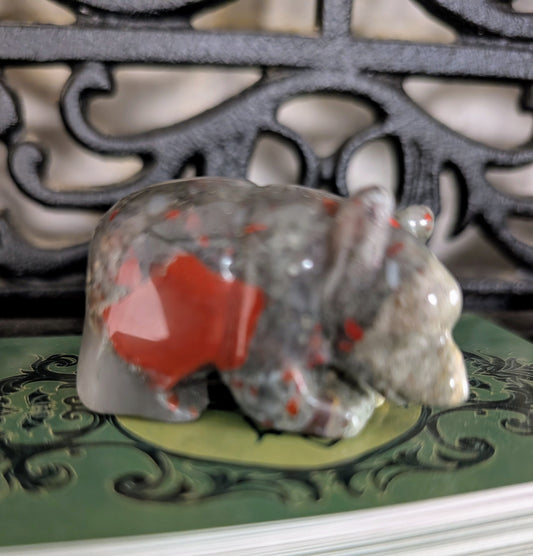African Blood Stone Bear