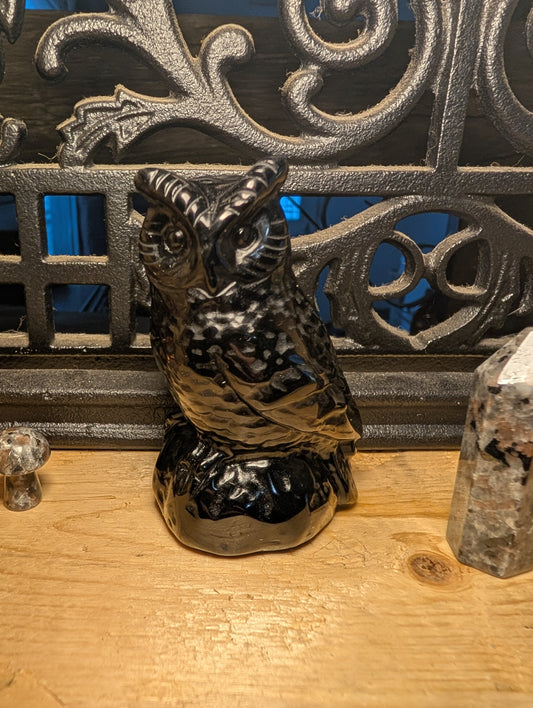 Obsidian Owl