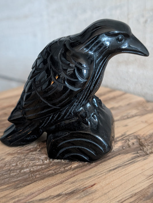 Obsidian Black Bird
