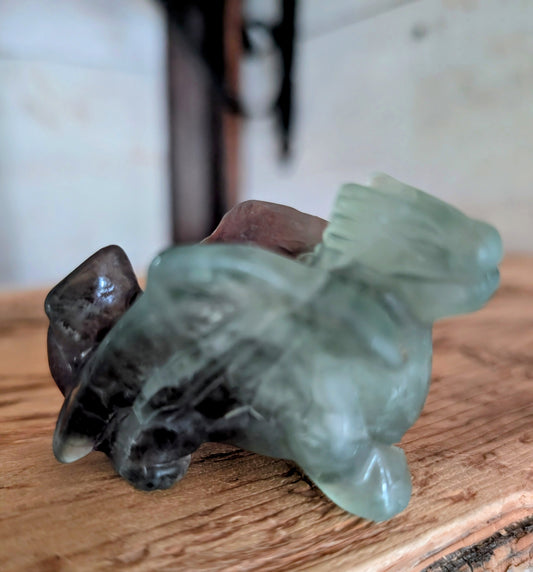 Fluorite Dragon