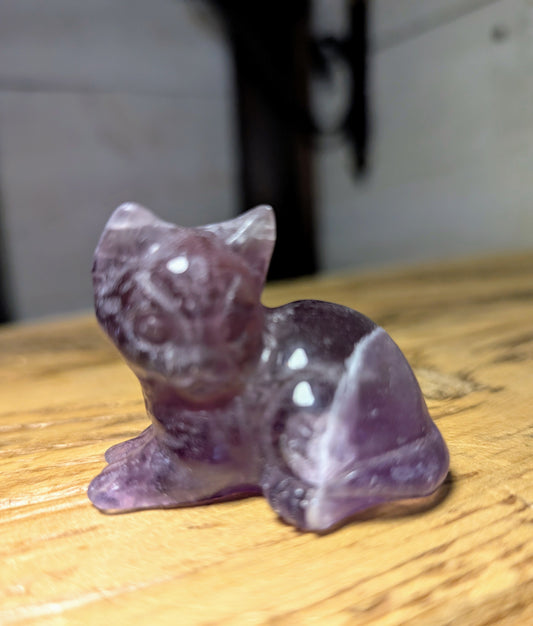 Fluorite Kitten