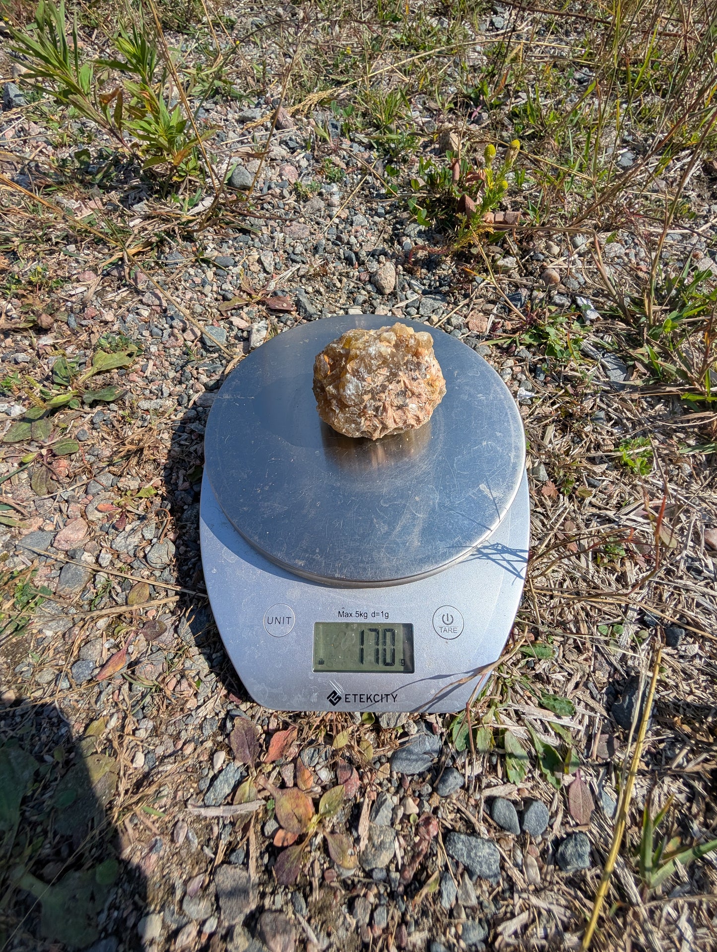 Canadian Fluorite Specimen
