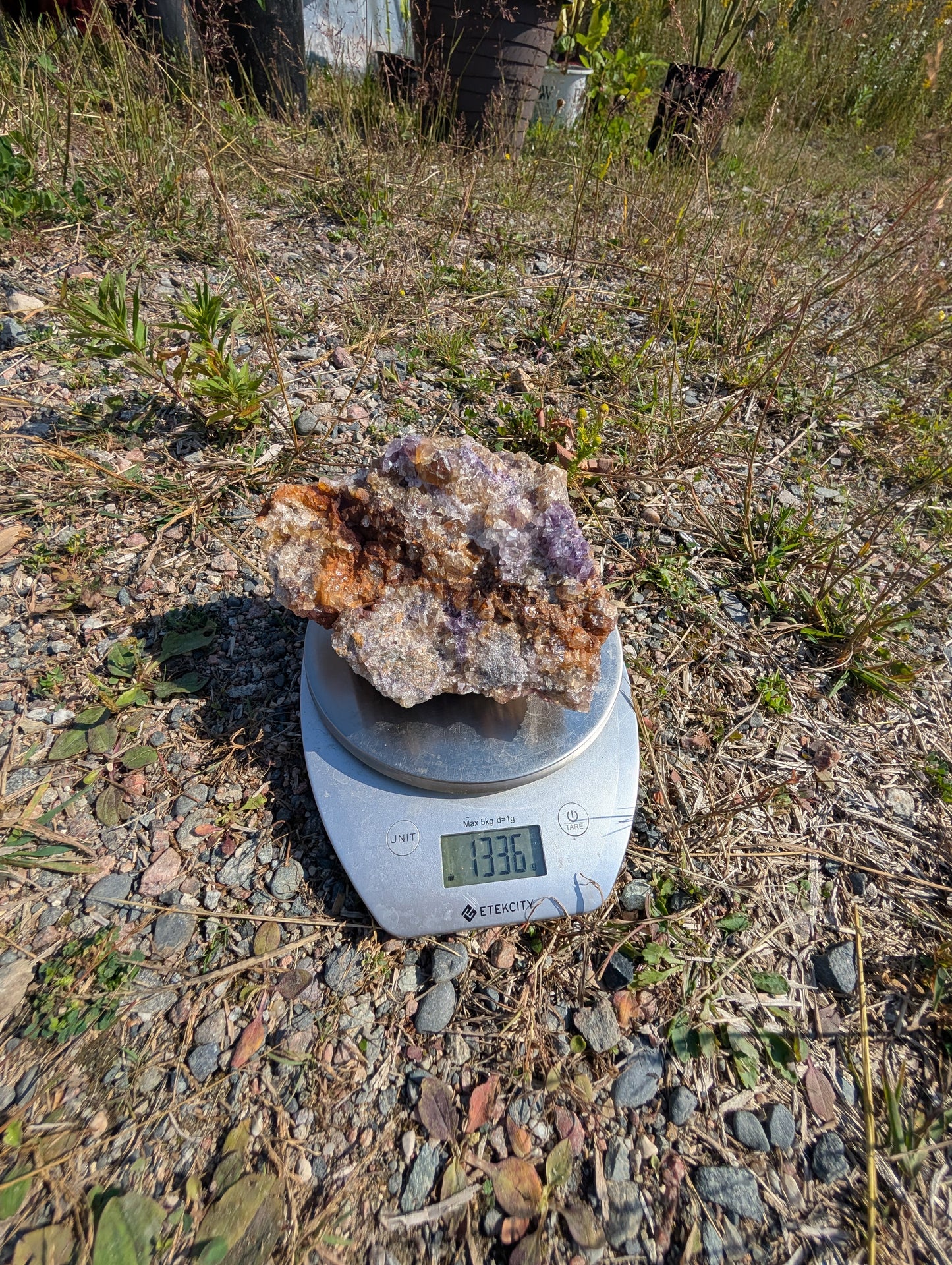 Canadian Fluorite Specimen