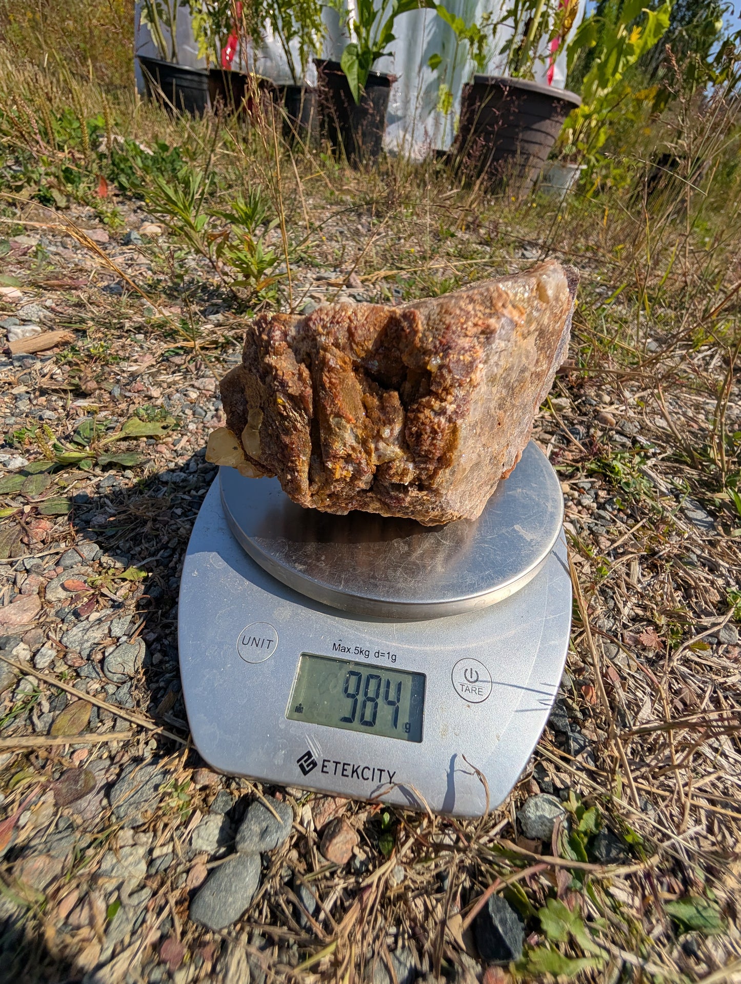 Canadian Fluorite Specimen with Barite and Quartz Points