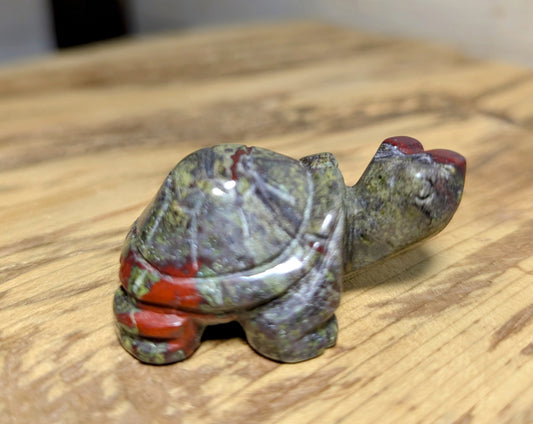 African Blood Stone Turtle