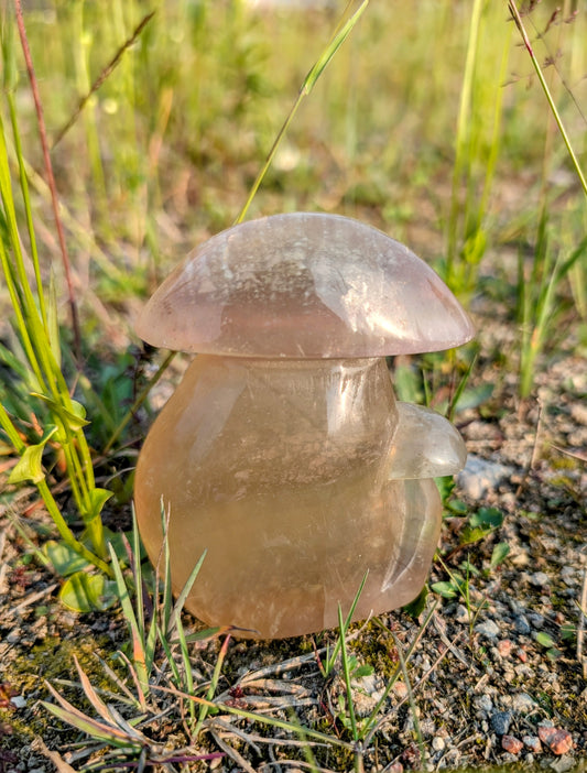 Fluorite Mushroom