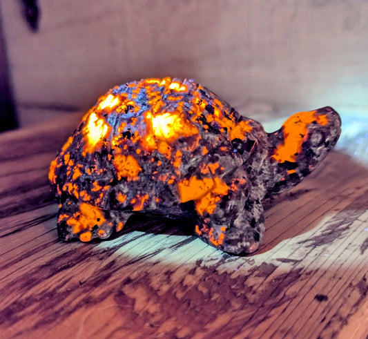 Yooperlite, Flame Stone Turtle