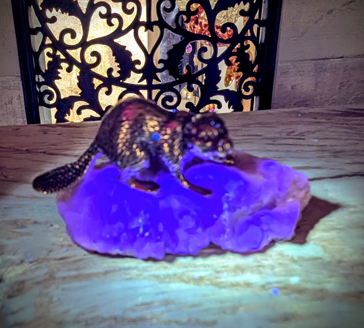 Beaver on Canadian Fluorite Specimen