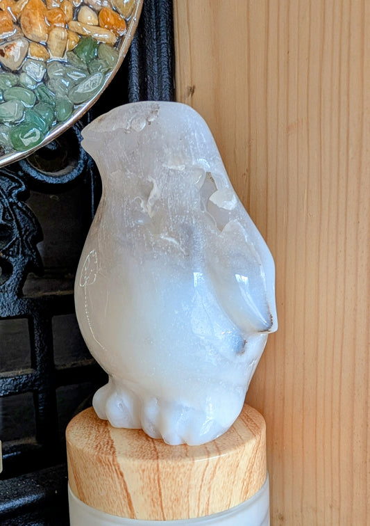 Agate Penguin with a little Druzy