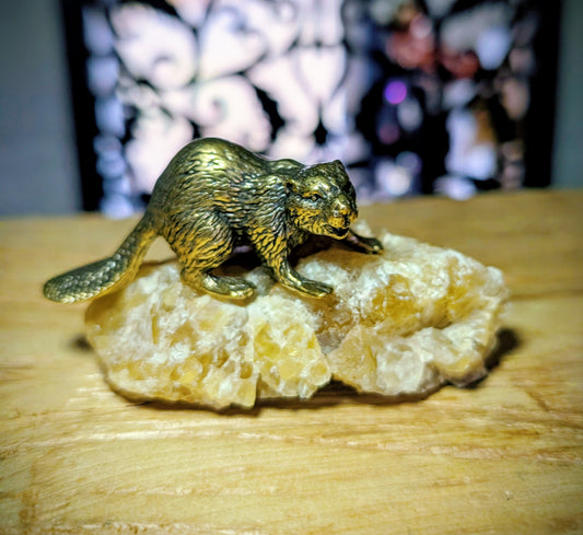 Beaver on Canadian Fluorite Specimen